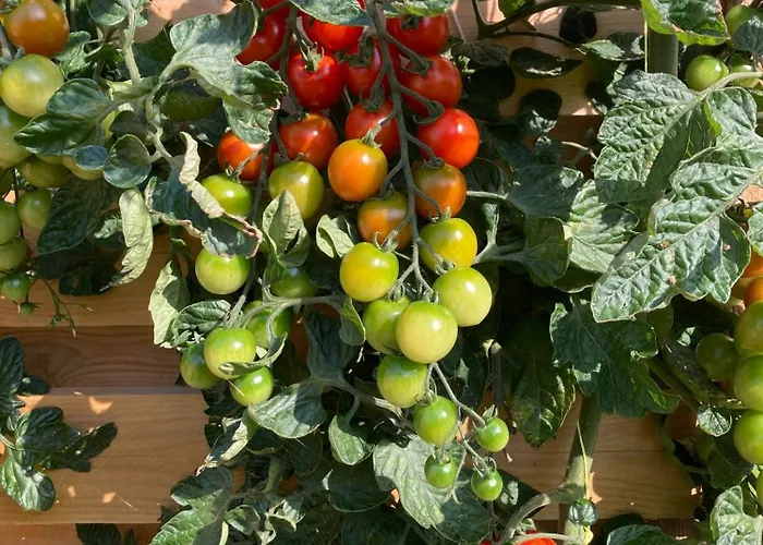 Feriehus Cozy Near Hvidbjerg